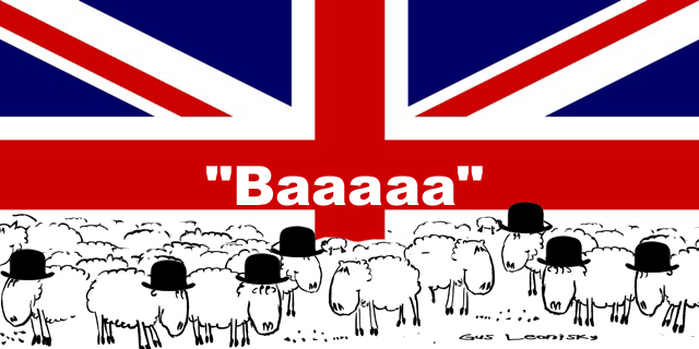 english sheep...