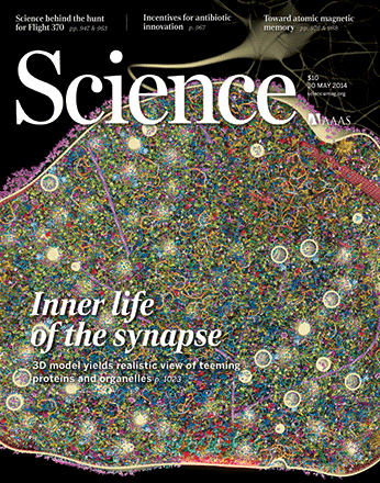 cover science synapse
