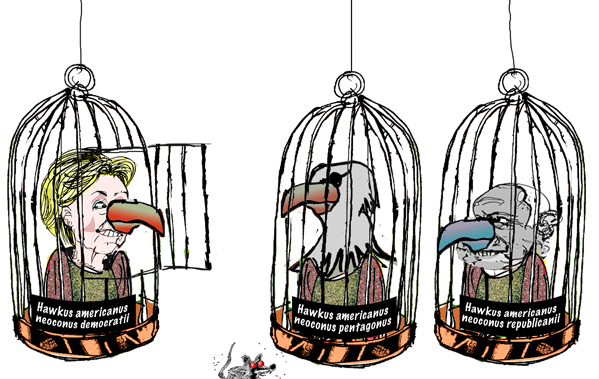 the birdcages