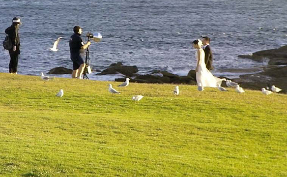 seagulls spoiling wedding shots...