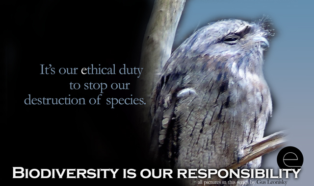 ethical duty9