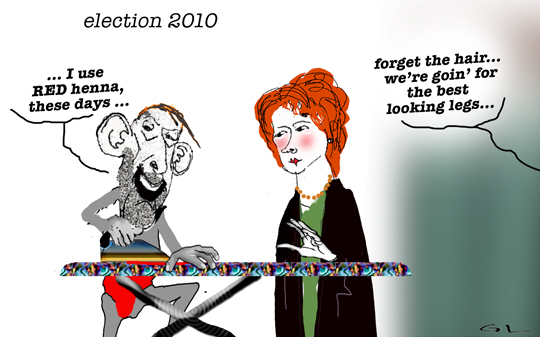 election 2010