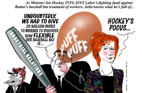 hockey pucks .....